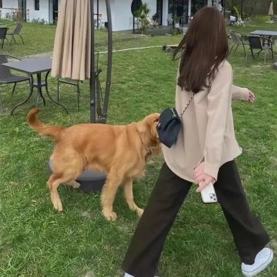 异特龙之谜